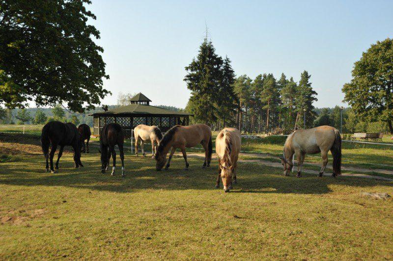 Orodek Szkoleniowo-Wypoczynkowy Poznaskiej Szkoy Biznesu