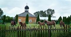 Agroturystyka Chatka Bieszczadka