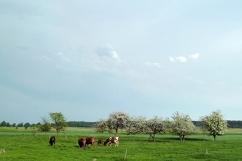 Agroturystyka Chatka Bieszczadka