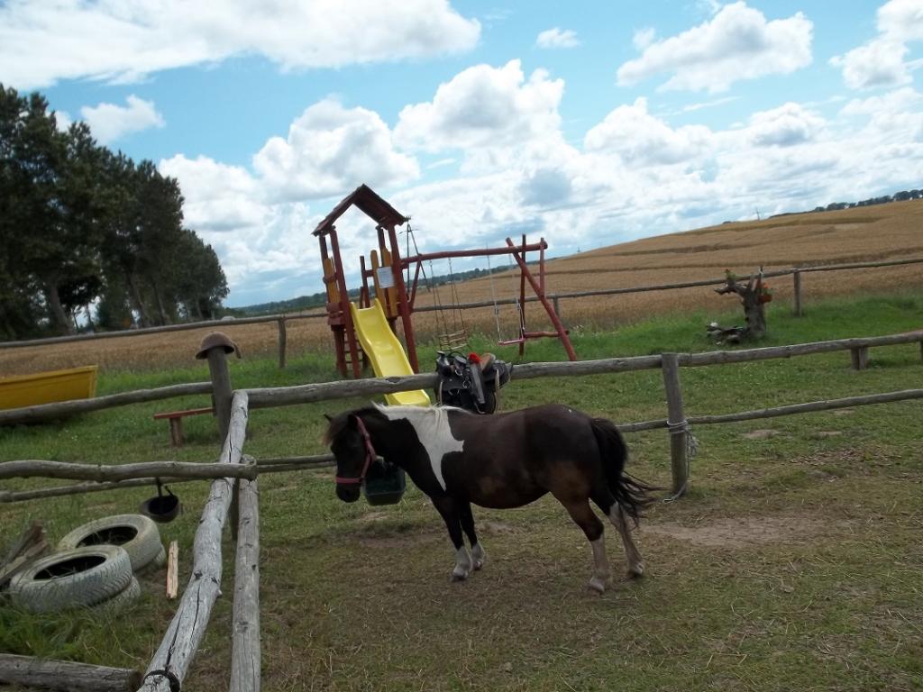 Gospodarstwo Agroturystyczne Rumak