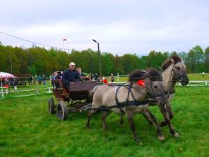 Agroturystyka Stankowice 86