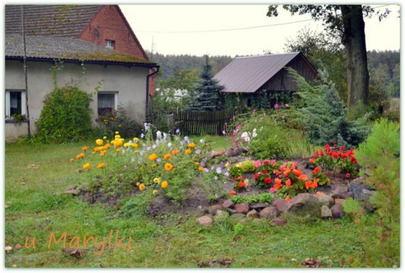 Gospodarstwo agroturystyczne U Marylki Grka k/Milicza