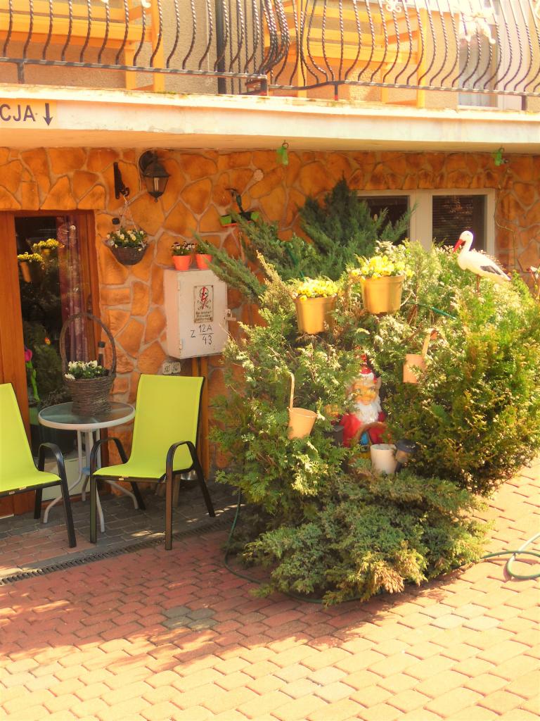 Pokoje gocinne willa Magoka,tanie noclegi wczasowe