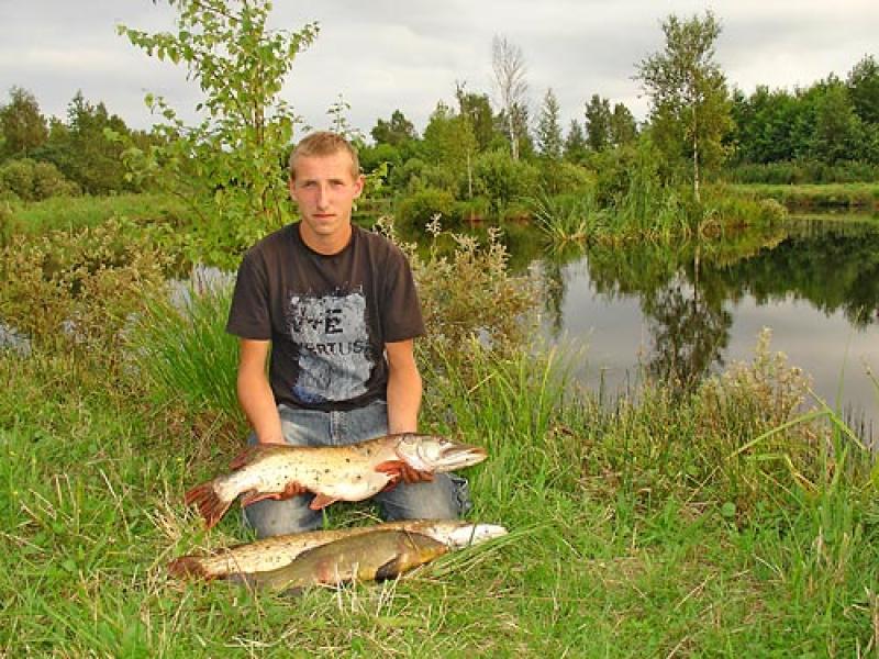 DOMKI POKOJE Lena Polana 