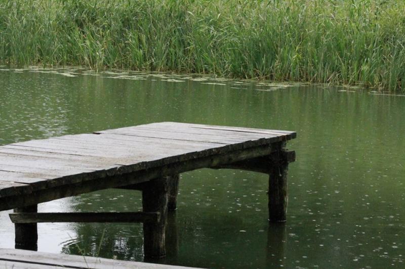 Pole Namiotowe Na Rataja