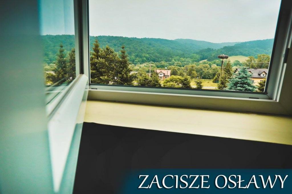 Zacisze Osawy