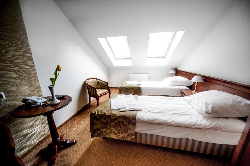 Hotel Drob