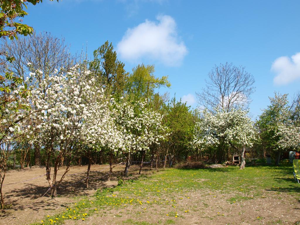 miechwka - Zagroda Artystyczna