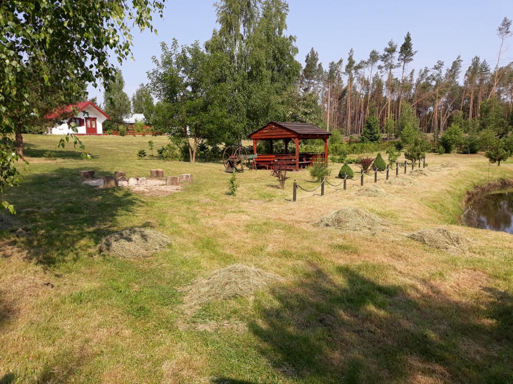 Hubertwka Czapiewice