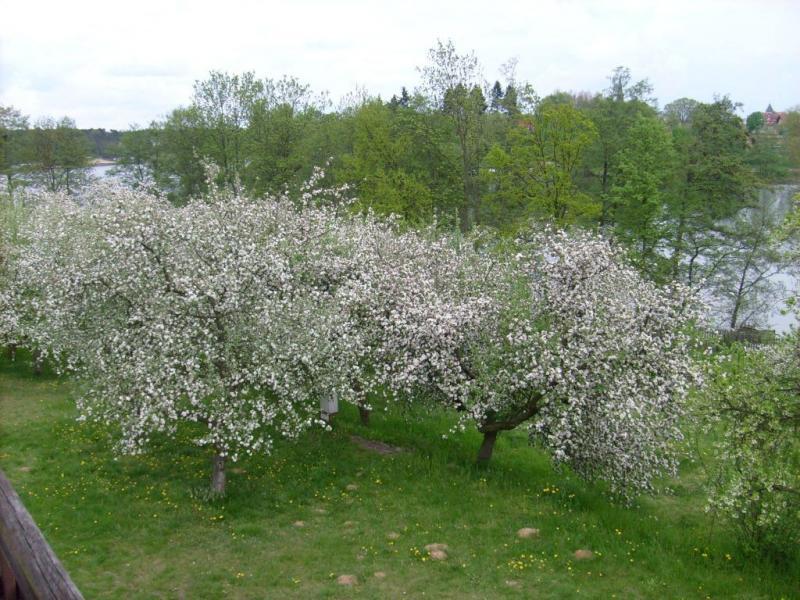 Agroturystyka Nad Jeziorem