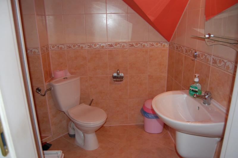 U Bodzia Nad Niesyszem