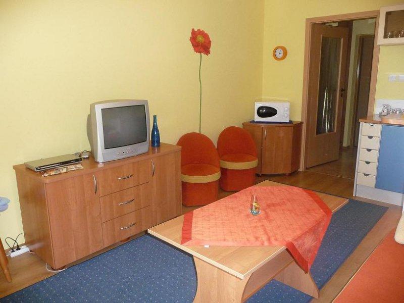 Apartamenty Drzewiecka