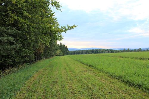 Gospodarstwo Agroturystyczne Soneczna Zagroda