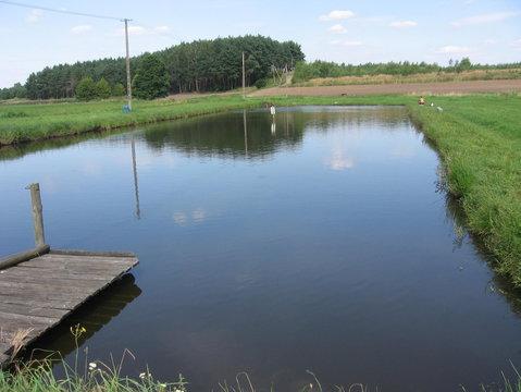 Gospodarstwo Agroturystyczne Zota rybka