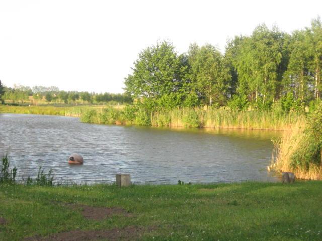 Domki Letniskowe nad stawem
