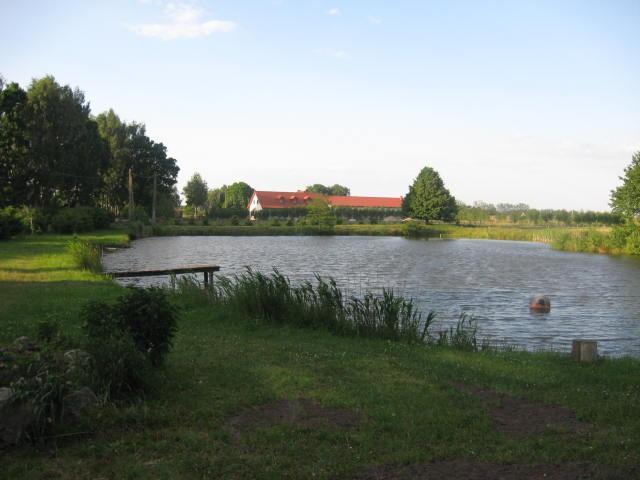 Domki Letniskowe nad stawem