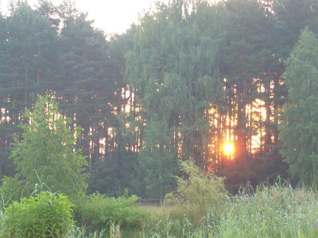 Siedlisko Color
