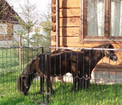 Gospodarstwo Agroturystyczne Bronisaw i Danuta Sieradzcy