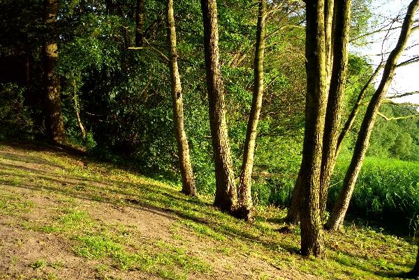 Gospodarstwo Agroturystyczne Nad Strumieniem