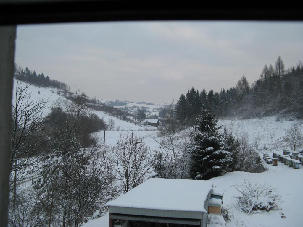 Domek Caoroczny w grach Nowy Scz- Pszczka