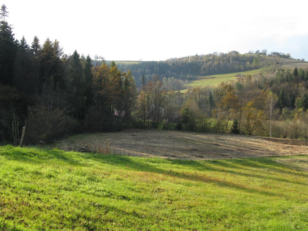 Domek Caoroczny w grach Nowy Scz- Pszczka