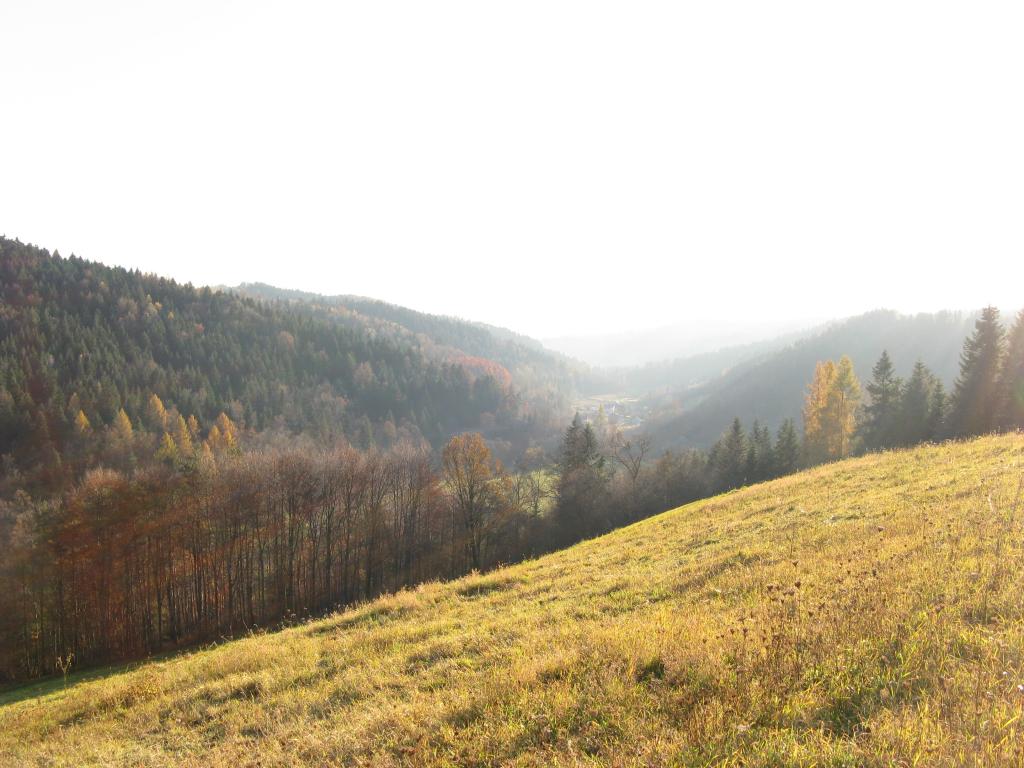 Domek Caoroczny w grach Nowy Scz- Pszczka