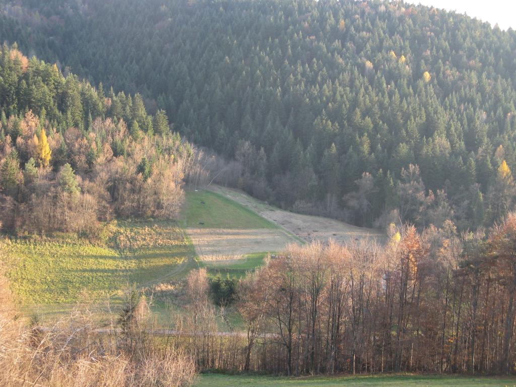 Domek Caoroczny w grach Nowy Scz- Pszczka