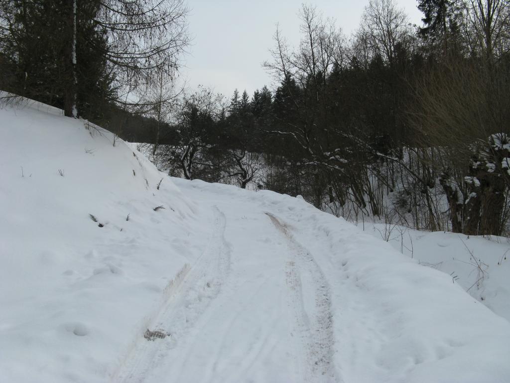 Domek Caoroczny w grach Nowy Scz- Pszczka