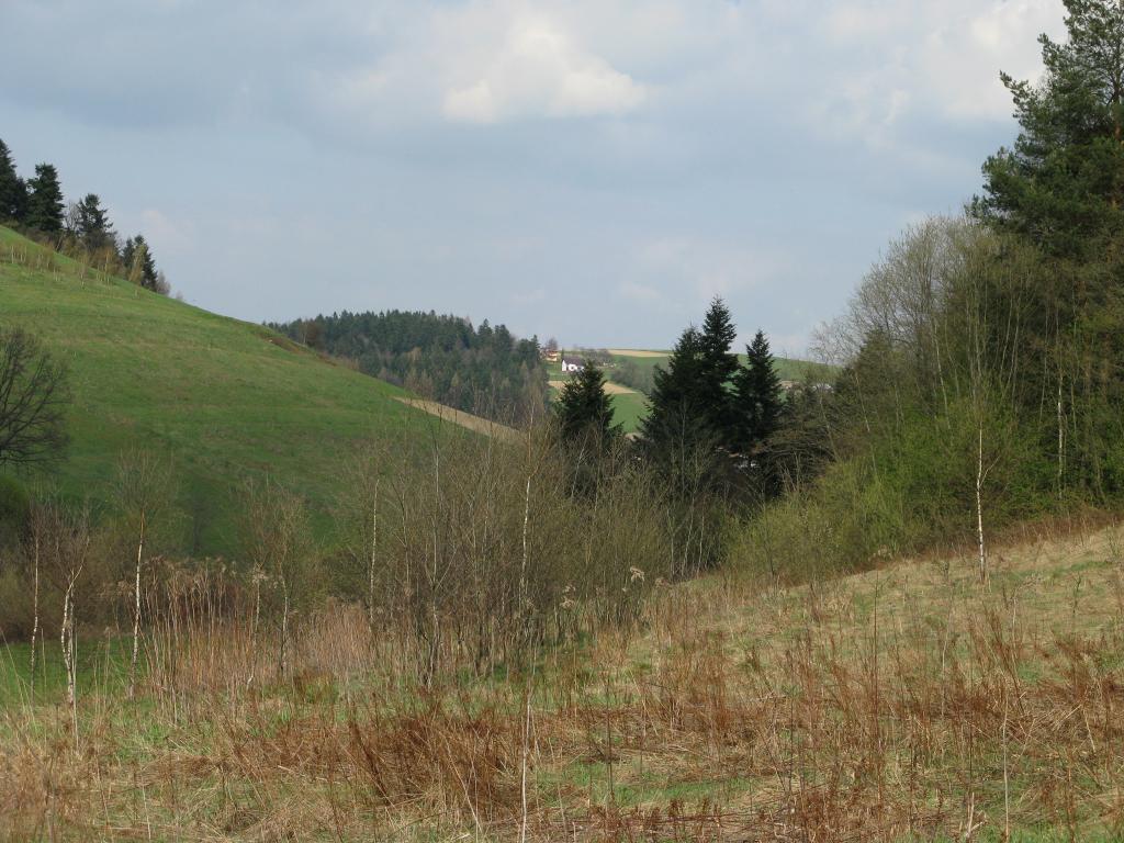 Domek Caoroczny w grach Nowy Scz- Pszczka
