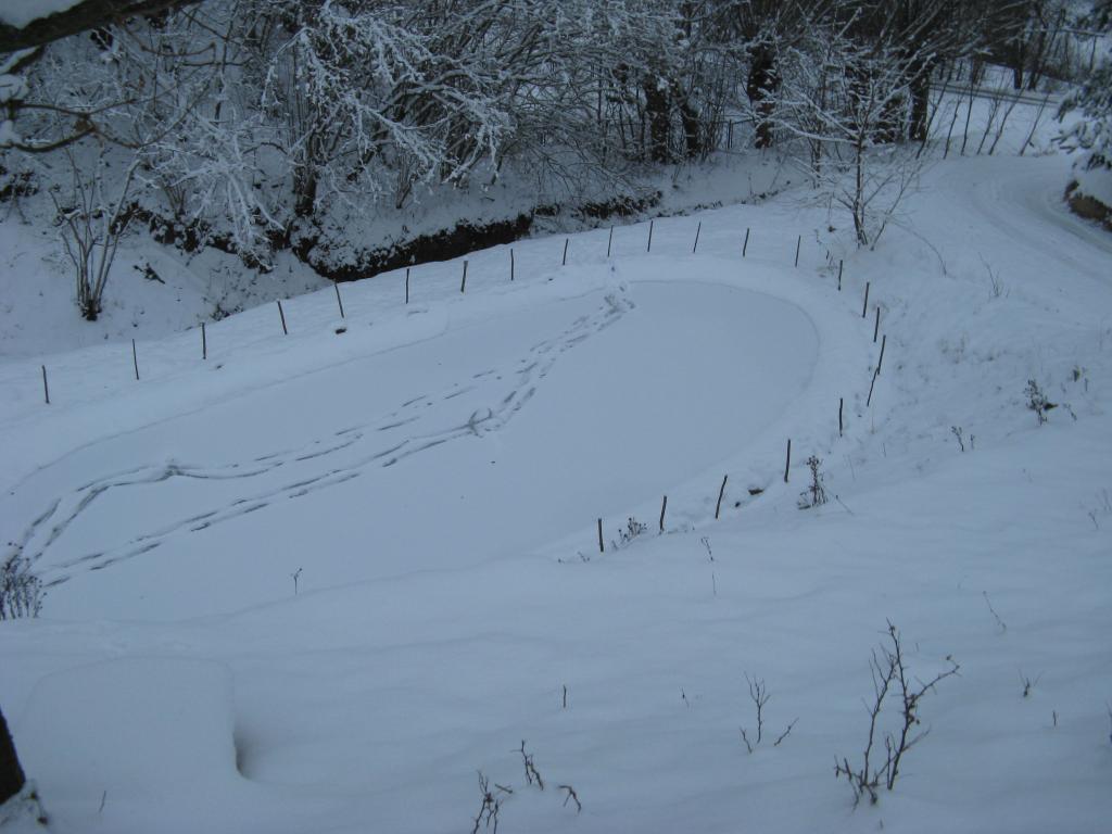 Domek Caoroczny w grach Nowy Scz- Pszczka