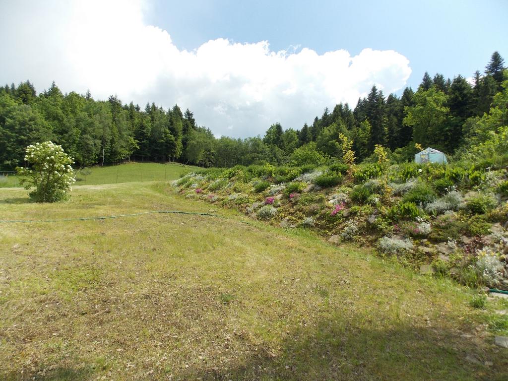 Domek Caoroczny w grach Nowy Scz- Pszczka