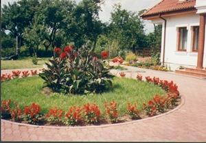 Janola