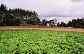 Agroturystyka Sielskoanielsko