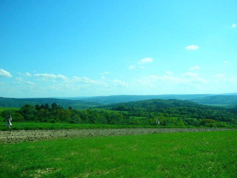 Gospodarstwo Agroturystyczne u Julii