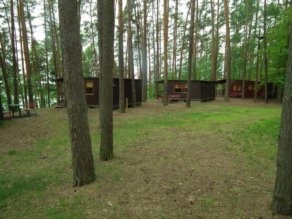 Domki Letniskowe nad Jeziorem Partczyny Wielkie-Mazury Zachodnie