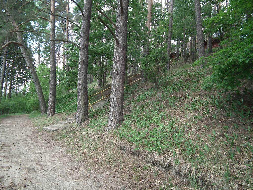 Domki Letniskowe nad Jeziorem Partczyny Wielkie-Mazury Zachodnie