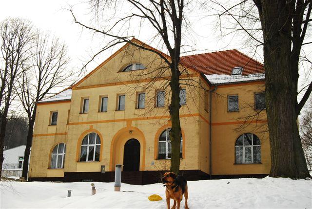 Caritas Diecezji widnickiej