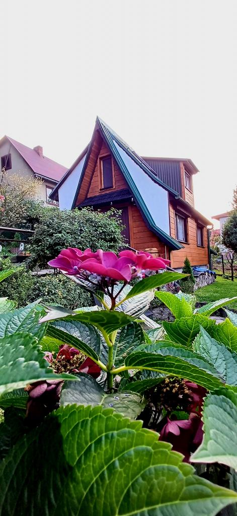 Domek pod Zielonym Dachem