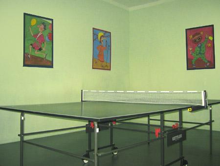 Pensjonat Parkowy Dworek