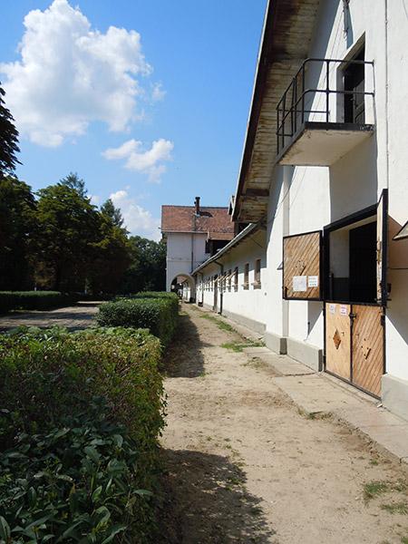 Fundacja Klikowska Ostoja Polskich Koni