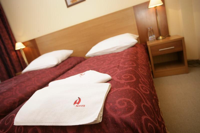 Hotel Boruta