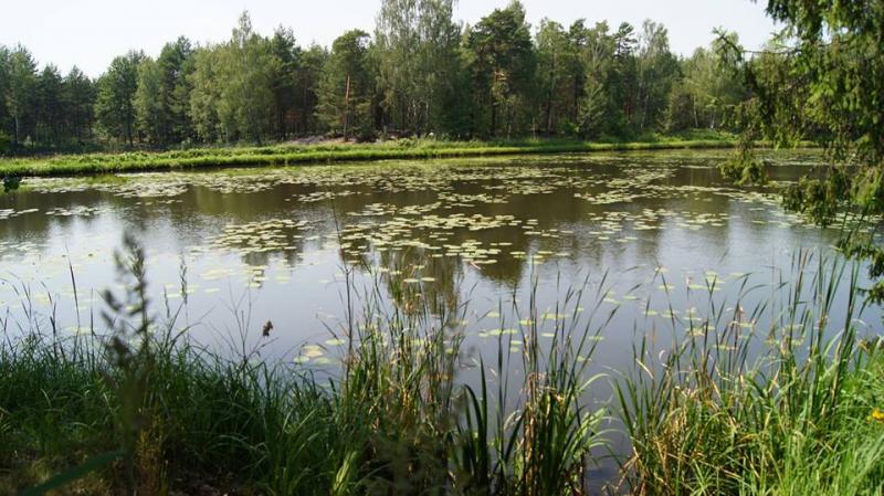 Agroturystyka Nad Stawami