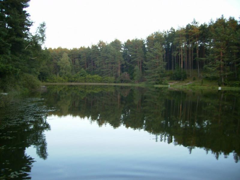 Domek nad jeziorem Skarszewy