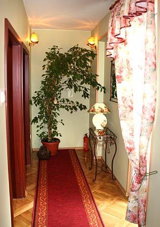 Villa Delfin