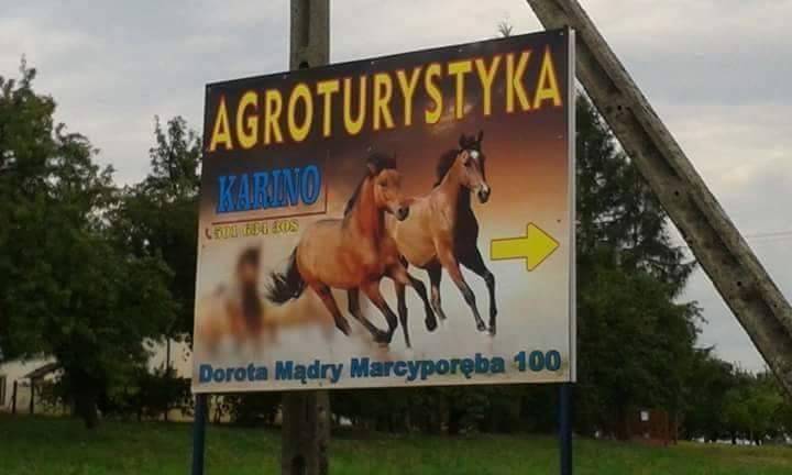 Agroturystyka Karino