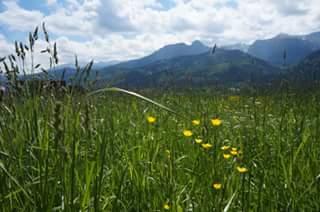 Z widokiem na Giewont