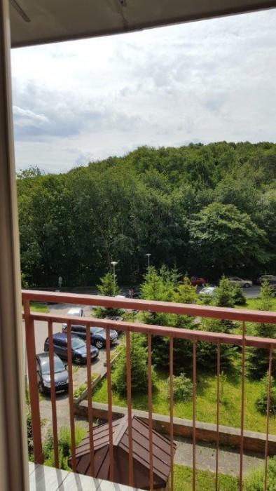 Apartament Norwida