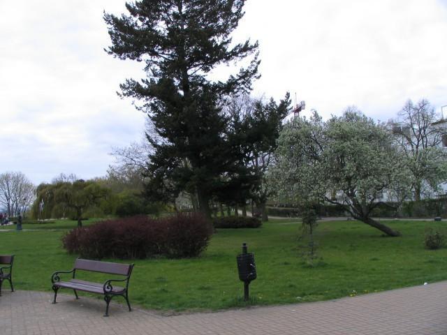 Pokoje Orowo