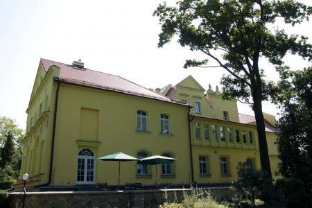 Zamek w Rogowie Opolskim
