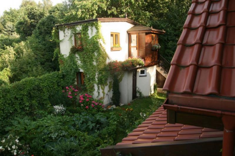 Klimatyczny Domek Dzikie Wino